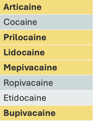 <p>What are the half-lives of the amides?</p>
