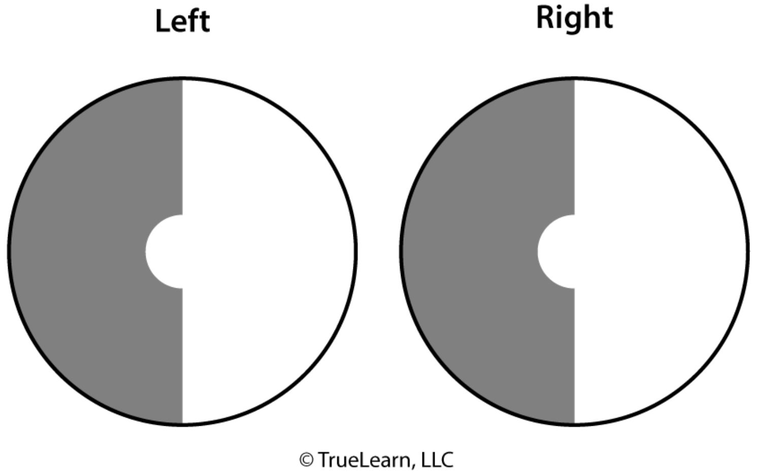<p></p>