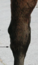 <p>What condition is this?</p>