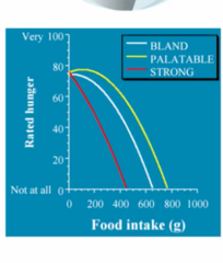 <p>— eating can sometimes <strong>increase </strong>rather than <strong>decrease </strong>subsequent eating</p>