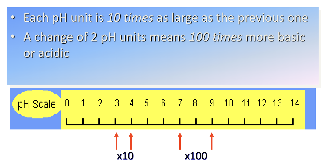 <p>Each pH interval is <strong>10x larger</strong> than the <strong>previous</strong> one, meaning<strong> 2 pH</strong> intervals are a <strong>change</strong> of <strong>100x</strong> </p>