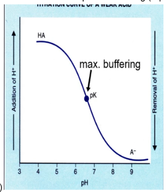 <p>pH where you maximal amount of proton buffering (equal amounts of A- and HA form of weak acid)</p>