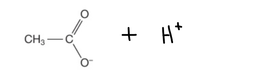 <p>Hydrogen dissociates</p><p>You are left with ethanoate ions and hydrogen ions</p><p></p>
