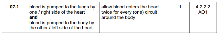 <p>Blood enters the heart twice for every one circuit around the body</p>