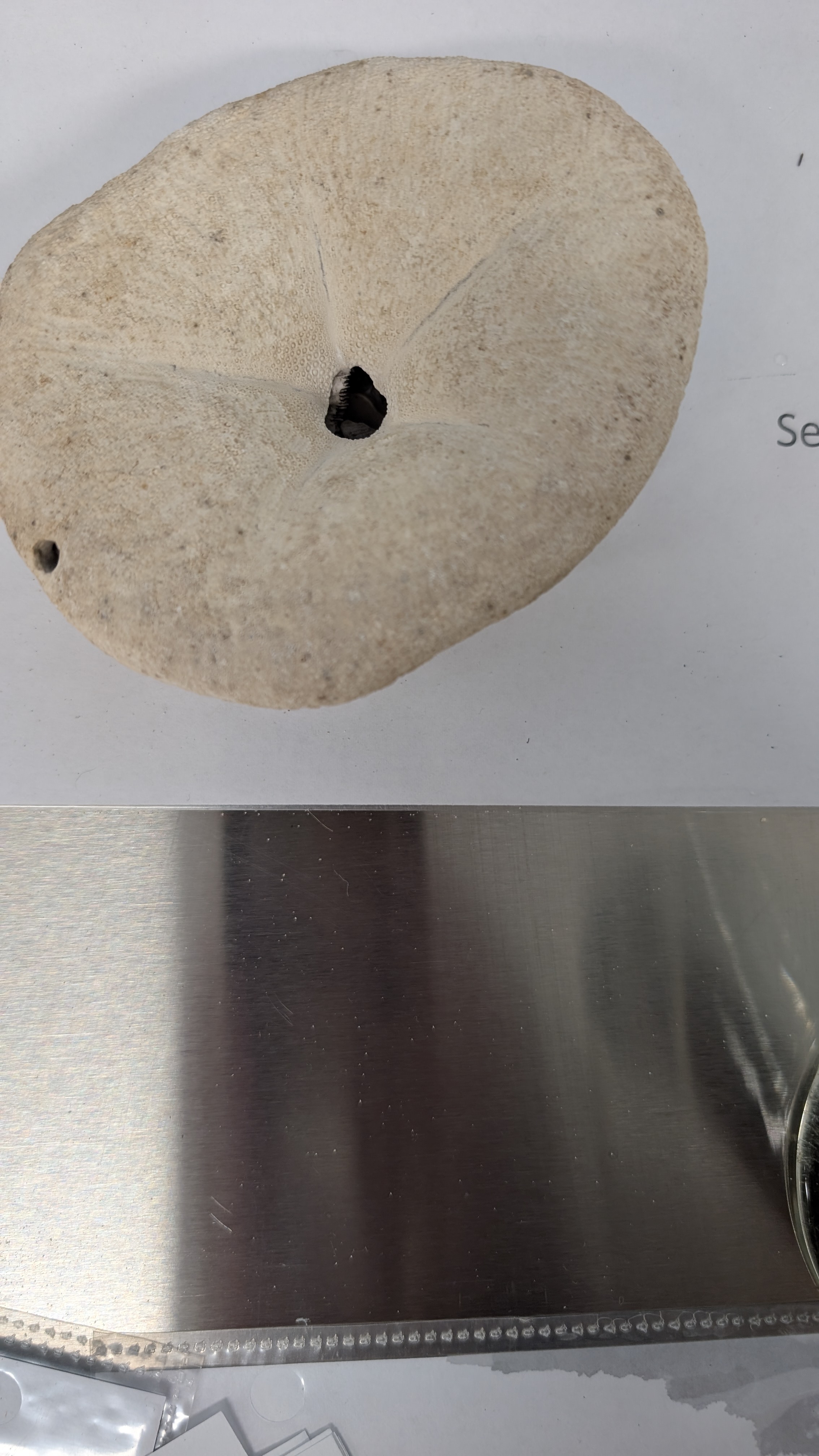 <p>Identify</p>