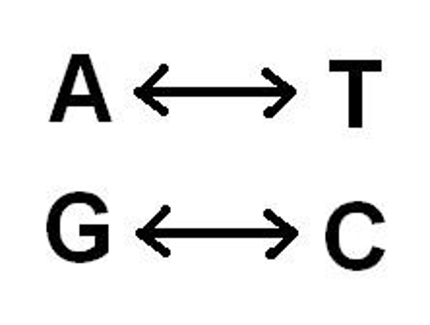 <p>nền tảng</p>