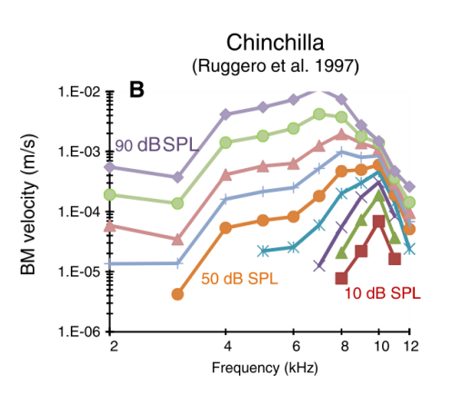 <p>What type of curve is this?</p>