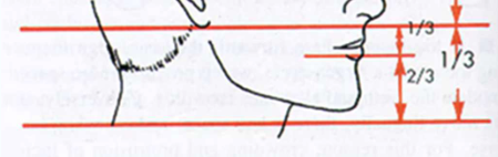 <p>- Upper lip = 1/3</p><p>- Lower lip and chin = 2/3</p>