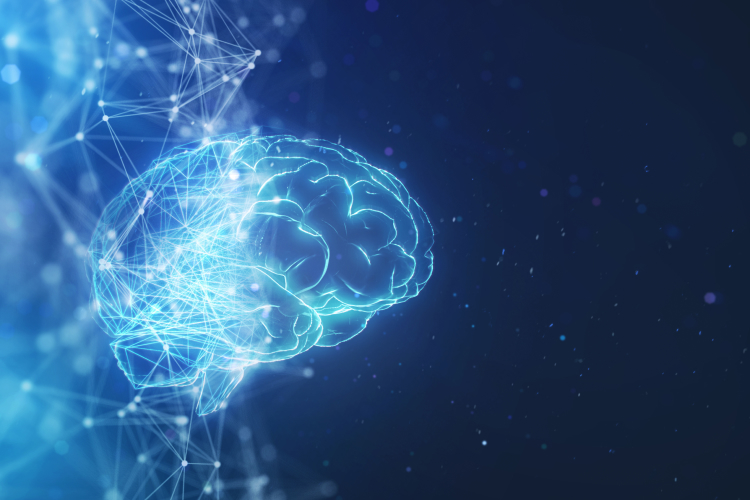 <p>Key components of Intelligence</p>