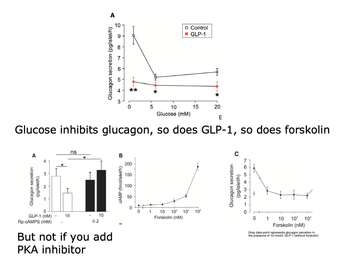 <p>How does GLP1 influence glucagon secretion?</p>