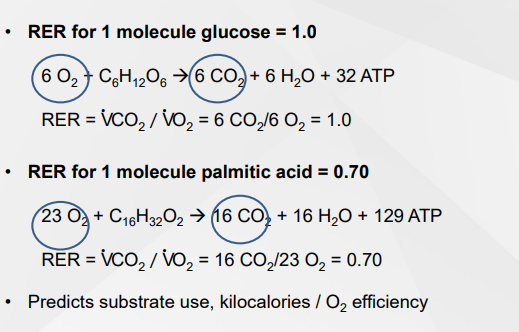 <p>Carbs = The amount of oxygen used and CO2 produced when breaking down a carbohydrate is equal. Works out to be a 1.0 ratio (6:6)</p><p>Fat = The amount of oxygen used compared to the amount of CO2 when breaking down a fatty acid works out to be a 0.7 ratio (23:16)</p><p></p><p></p>