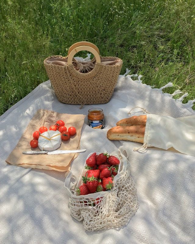 <p>picnic</p>
