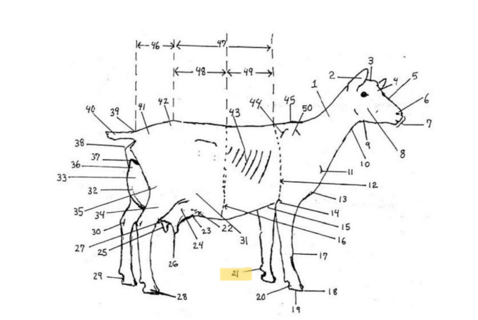 knowt flashcard image