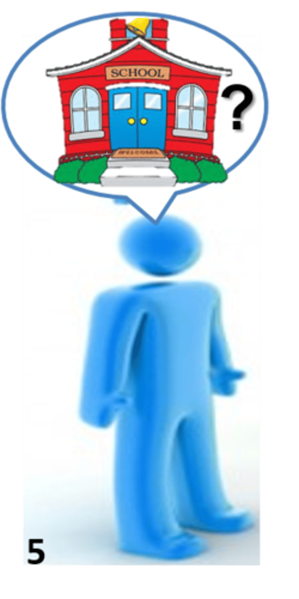<p>where do you study? I study in Frankfurt International School</p>