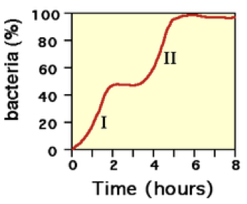 <p>E’ il grafico che descrive come cresce una popolazione batterica nel tempo:</p><ul><li><p>Fase di latenza → qui non si osserva nessun aumento di batteri, perché prima devono sintetizzare gli enzimi necessari alla metabolizzazione dei substrati del terreno</p></li><li><p>Fase di accelerazione di crescita → inizia la crescita e moltiplicazione</p></li><li><p>Fase esponenziale o logaritmica → fase di crescita e divisione rapida</p></li><li><p>Fase di decelerazione di crescita → i nutrienti piano piano si esauriscono e le scorie tossiche che aumentano andranno a ridurre la crescita</p></li><li><p>Fase stazionaria → il numero di batteri che nascono e quelli che muoiono si bilanciano, quindi il loro numero rimane costante</p></li><li><p>Fase di morte o declino → i batteri muoiono di più di quanto nascono</p></li></ul><p>Curva di crescita diauxica (studiato da Monod):</p><ul><li><p>Particolare tipo di crescita, dove osservò che alcuni batteri coltivati in presenza di due zuccheri, uno semplice e uno più complesso, i batteri usavano prima lo zucchero semplice e poi quello complesso</p></li><li><p>Si osservano così due fasi esponenziali separate da una pausa che serve al batterio per sintetizzare gli enzimi atti a metabolizzare il secondo substrato</p></li></ul><p></p>