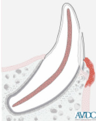 <p>What is this?</p>