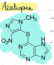azatioprin (Imuran)