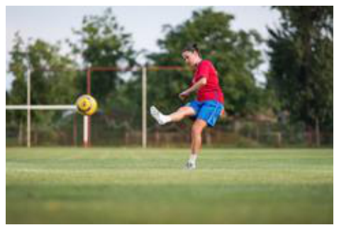 <p>A force exerted by a person, animal or machine, such as when a girl kicks a ball.</p>