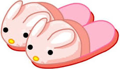 <p>slippers</p>