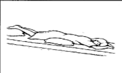 <p>what position is this?</p>