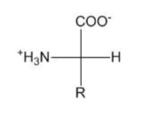 <p>The adjacent structure is that of a generalized amino acid. Assuming the R group is not H and has lower priority than the carboxylate group, what is the relative configuration (D or L) of the structure shown? Note that the ∂-carbon is at the intersection of the two lines; the horizontal bonds project toward the viewer, and the vertical bonds project away from the viewer.</p>