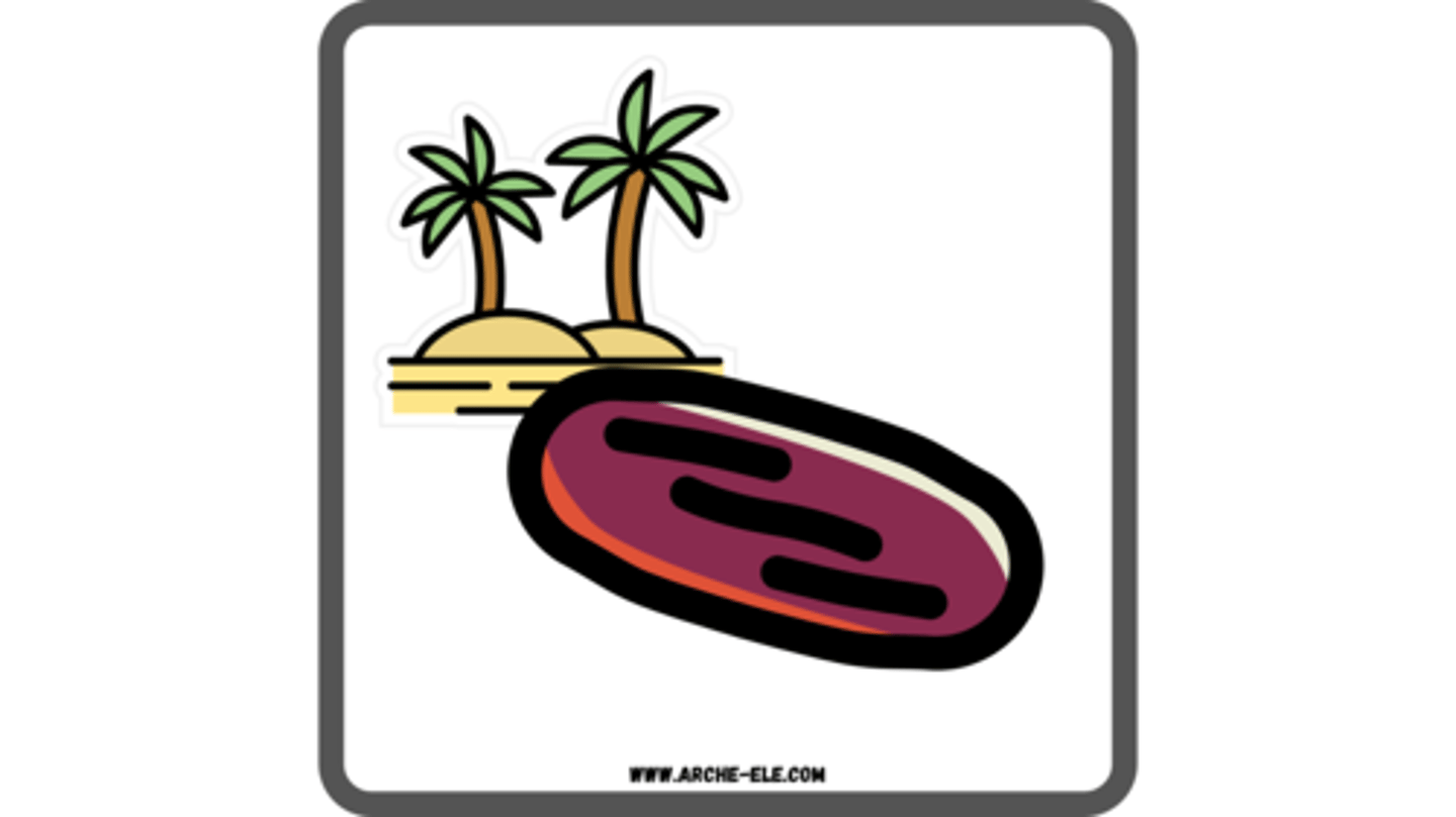 knowt flashcard image
