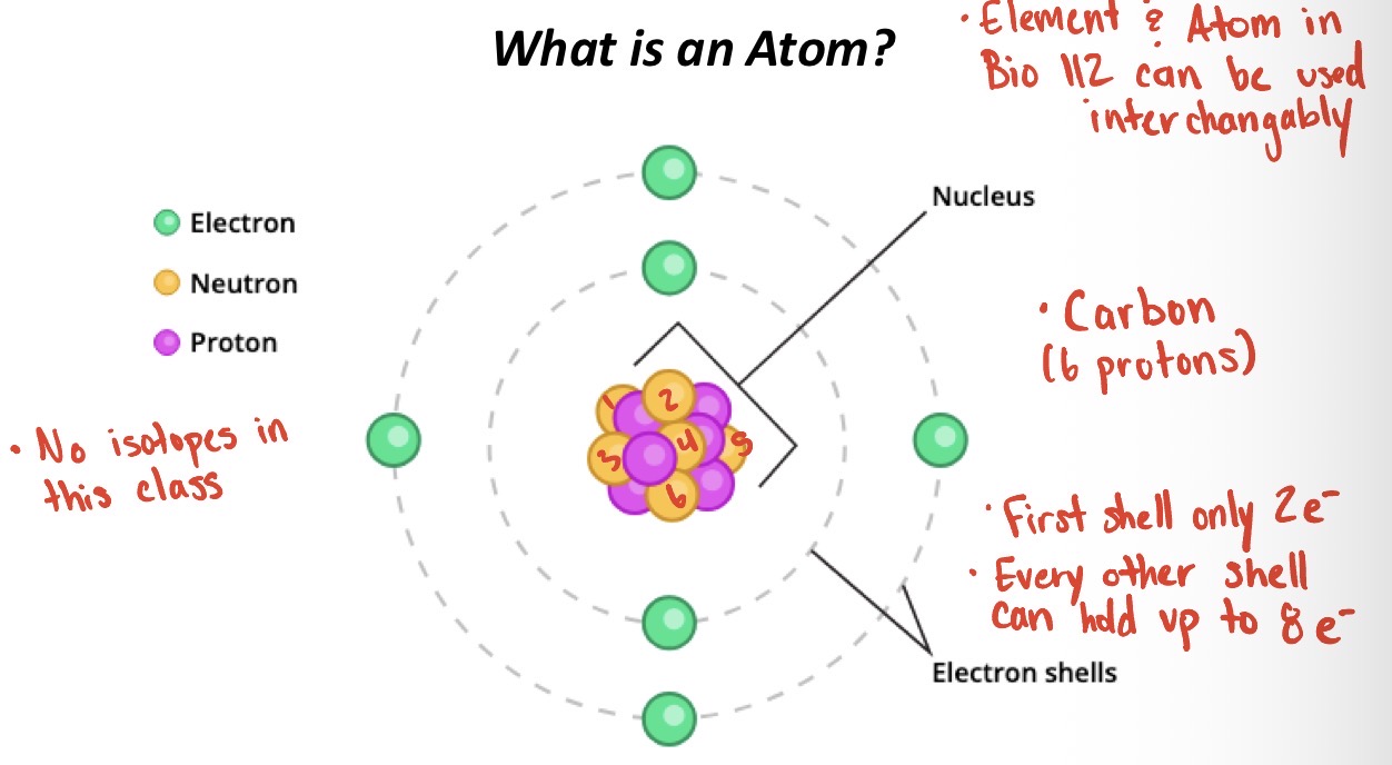 <p>The fundamental building blocks of all matter, the smallest unit of an element that retains it chemical properties, consisting of a central nucleus of protons (positively charged) and neutrons (neutral) surrounded by a cloud of negatively charged electrons</p>
