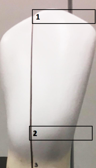 <p>Label this image.</p>
