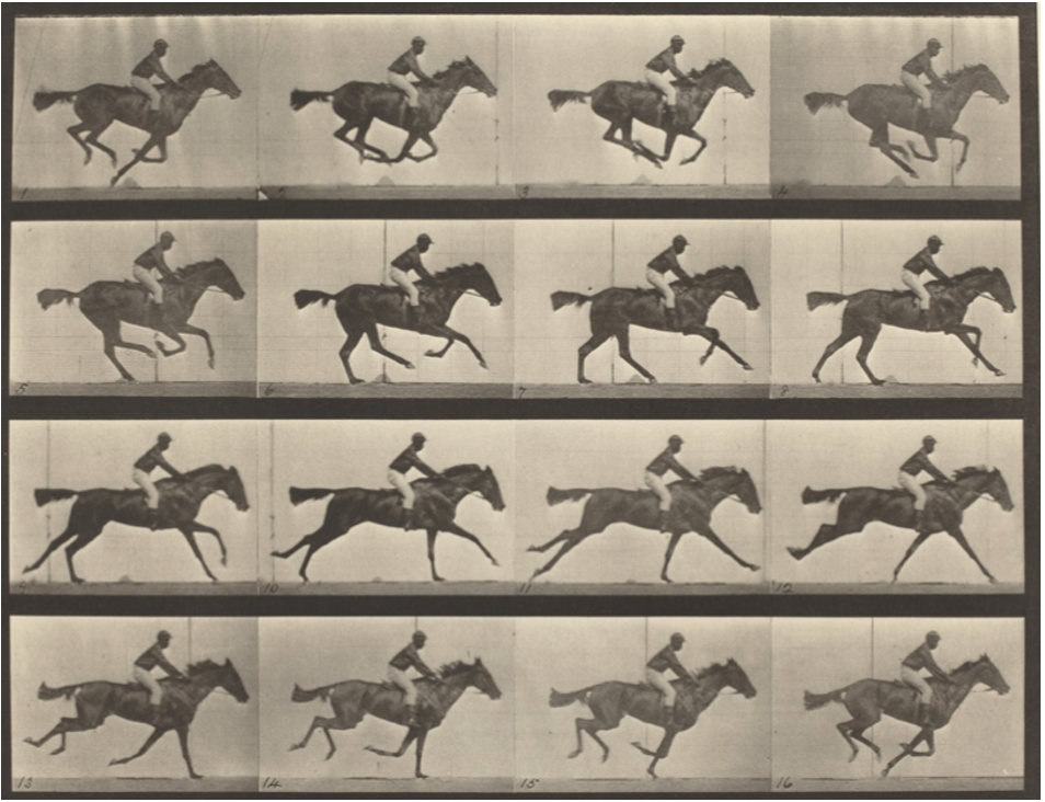 <p>Describe this image:</p>