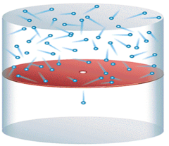 <p>A process by which gas particles pass through a tiny opening</p>
