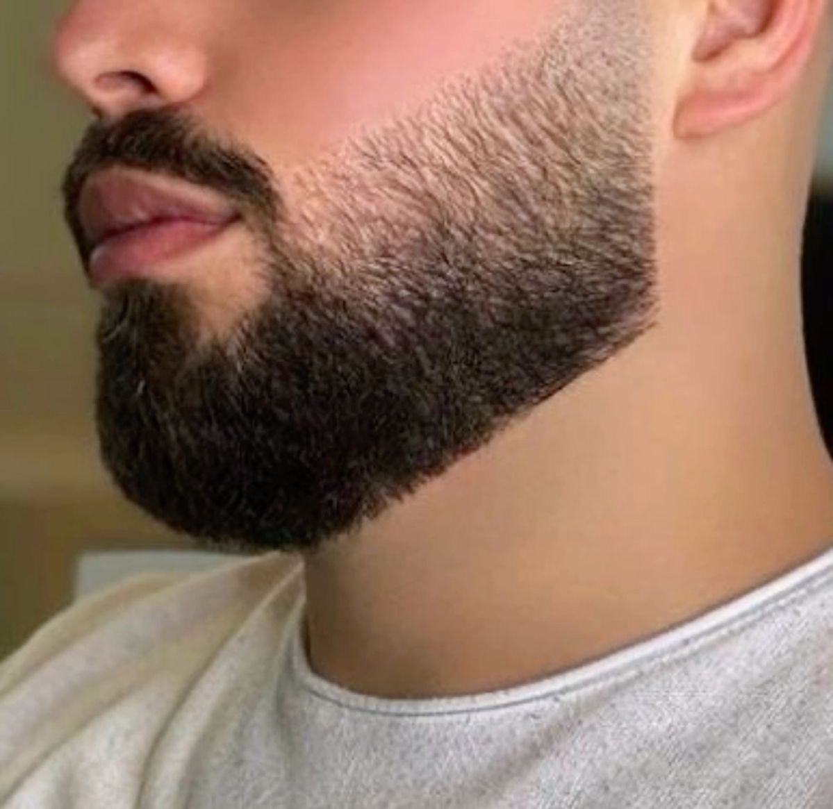 <p><span>the beard</span></p><p></p>