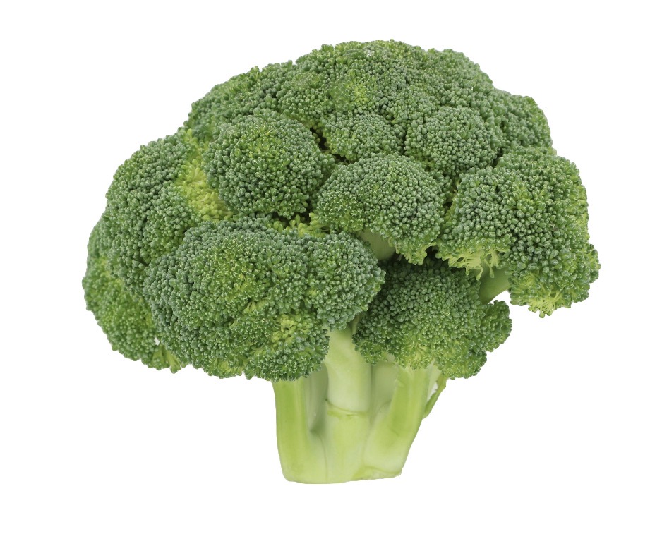<p>Broccoli </p>