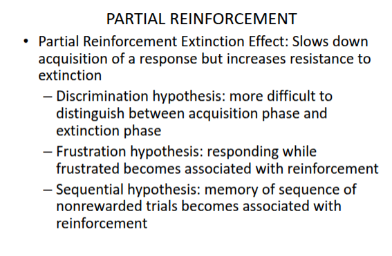 <p><strong>Partial Reinforcement Extinction Effect</strong></p>