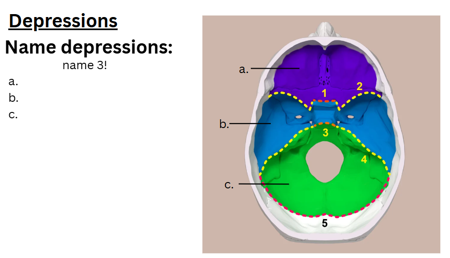<p>Name Depressions</p>