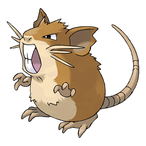 <p>What type is Raticate?</p>