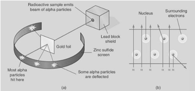 <p>Apparatus – Radioactive material (alpha emitter), lead box containing a small opening, thin sheet of gold foil, vacuum, zinc sulphide screen. Procedure – • An alpha emitter is placed in the lead box containing a small opening. • Set up apparatus within a vacuum as shown in diagram. • Allow time for alpha particles to travel to gold foil. • Take note of the positions where the alpha particles hit the zinc sulphide screen, as they cause scintillations (flashes of light) on the screen. Observation– The majority of the alpha particle pass through the gold foil without deviation, others are deflected through varying angles, from small angles up to 180°.</p>