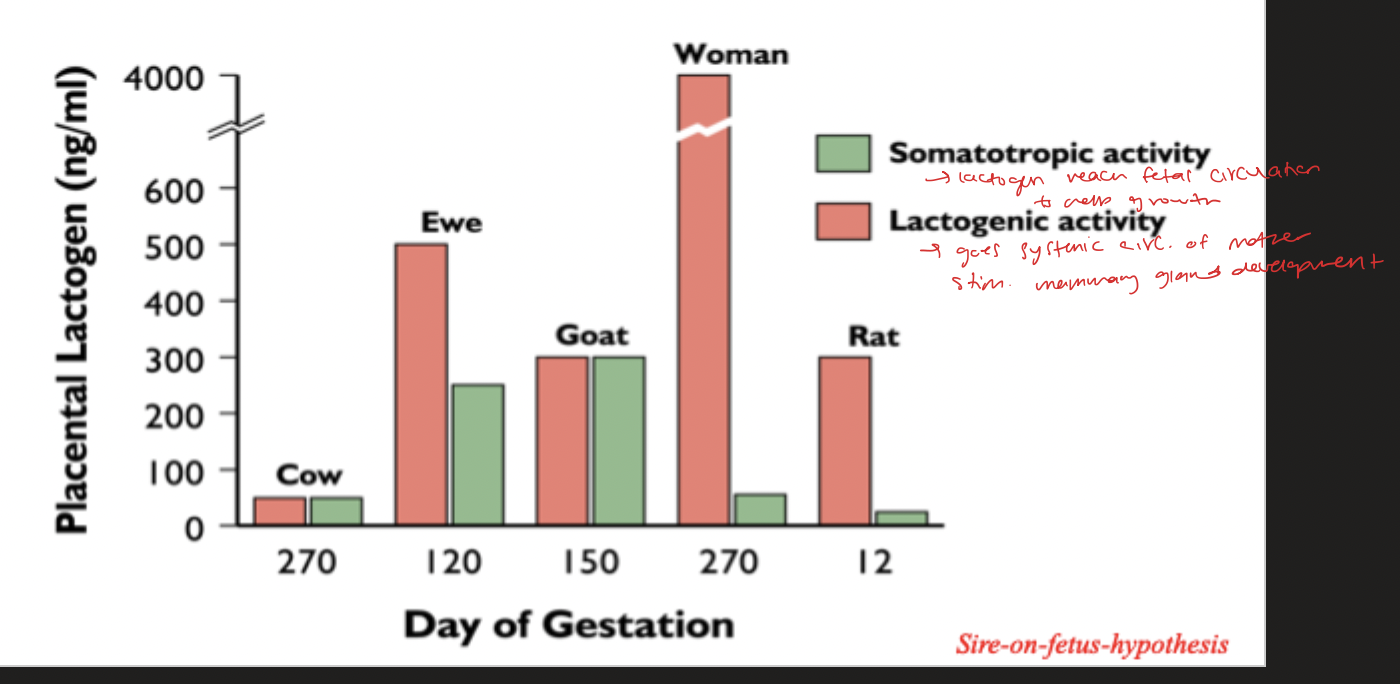 <p>ASK CLARIFICATION </p><p></p>