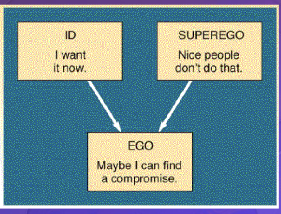 <ol><li><p><span><strong><u>Id</u></strong>: concerned with immediate<br>gratification (pleasure)</span></p></li><li><p><span><strong><u>Superego:</u></strong> represents the conscience;<br>ruled by morality (ideal)</span></p></li><li><p><span><strong><u>Ego</u></strong>: compromises between demands of<br>the Id and external world (reality)</span></p></li></ol><p></p>