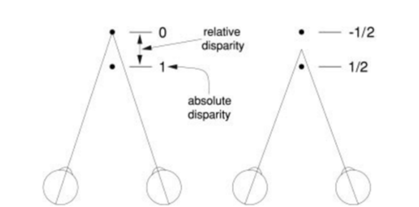 <p>The diff in absolute disparities of two elements in the visual scene</p>