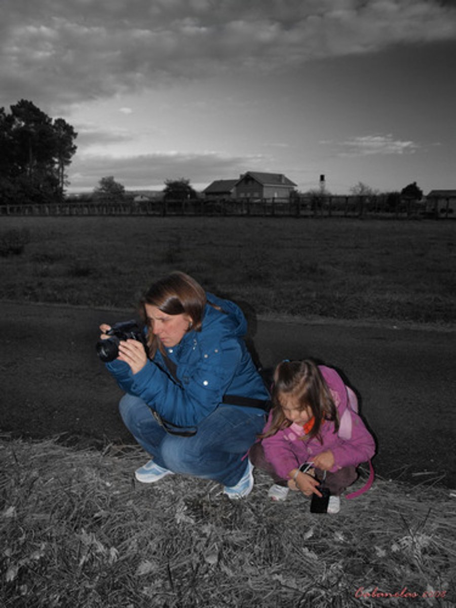 <p>to take pictures</p>