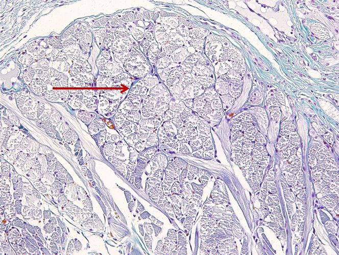 <p>Cấu trúc gì ?</p>