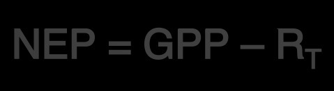 <p>Measure of the total biomass accumulated during a given period of time</p><ul><li><p>GPP - total respiration of ALL organisms in a system (Rt)</p></li><li><p>Useful to ecologists because its value determines whether an ecosystem is gaining or losing carbon over time </p></li></ul><p></p>