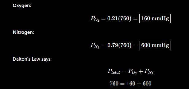<p>Total pressure = sum of partial pressures (in % decimals = adds up to 1) exerted by each gas in the mixture</p><ul><li><p>P total = P1 + P2 + etc</p></li></ul><p>“Pressure” in the Kinetic Molecular Theory is d/t <u>molecular collisions</u> against container wall</p><ul><li><p><span style="color: rgb(255, 0, 0);">↑ molecules = ↑ collisions = ↑ pressure</span></p></li></ul><p></p><p><em>In the example that is just for the atm, in a tank it could be up to 2000 psi, so put 2k where 760 is to get partial pressure</em></p>