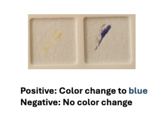 <p>Positive test: The bacteria or swab turns dark blue or purple within 20 seconds. This indicates the organism produces the enzyme cytochrome c oxidase.</p><p>Negative test: There is no color change within 20 seconds. This tells you the organism does not produce cytochrome c oxidase.</p><p></p>