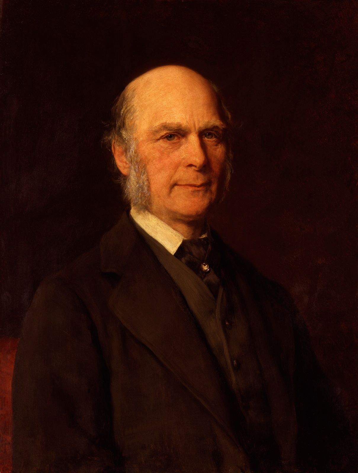 <p>Francis Galton</p>
