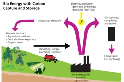 <ul><li><p><span style="background-color: transparent;">Feasible technology&nbsp;</span></p></li><li><p><span style="background-color: transparent;">Social aspects &amp; social acceptance&nbsp;</span></p></li><li><p><span style="background-color: transparent;">Life cycle analysis needed to calculate net carbon removals&nbsp;</span></p></li><li><p><span style="background-color: transparent;">Drax bioenergy plant to be fitted with post-combustion CCS</span></p></li><li><p><span style="background-color: transparent;">controversial ➔ burning trees and biomass then capturing CO2</span></p></li><li><p><span style="background-color: transparent;">must replant for it to be effective</span></p></li><li><p><span style="background-color: transparent;">energy created by burning biomass ➔ CO2 emitted and trapped</span></p></li></ul><p></p><p>= two steps of removal (biological + geological)</p>