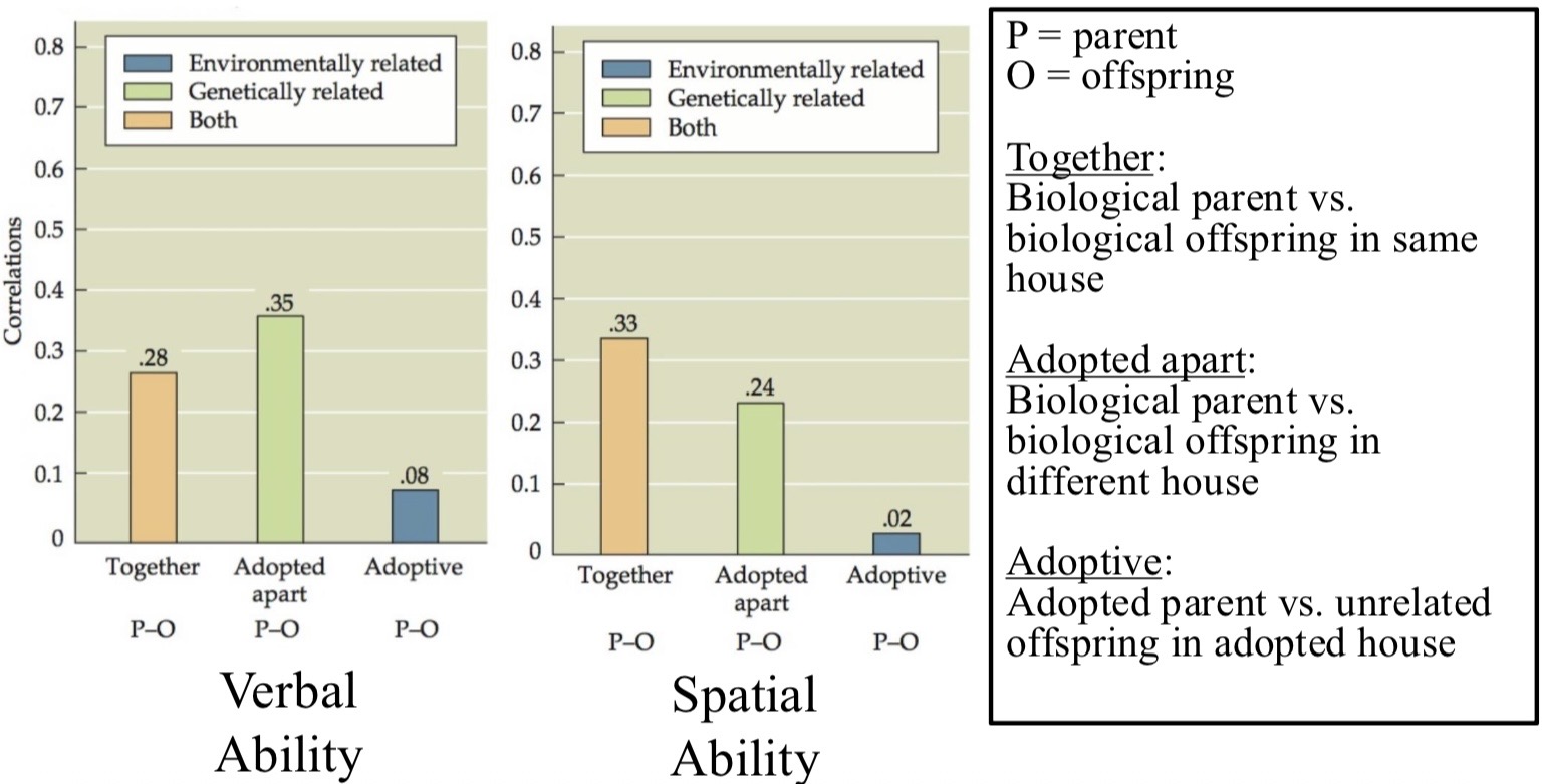 <p>Plomin et al. 1997</p><p>Measuring ability in verbal and spatial language tests of parents v offspring (housed together), parents v offspring (housed apart, isolating genetic component), and adoptive parents v adopted offspring (isolating environmental component)</p><p>→ Language abilities have a strong genetic component</p>