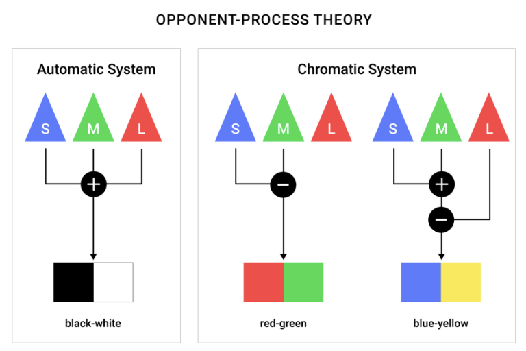 <p>Opponent-Process Theory</p>