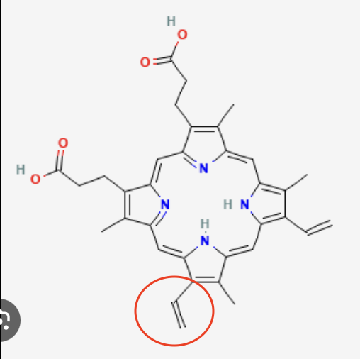 <p>What is this side chain called in Porphyrins?</p>