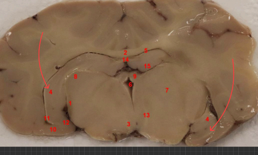 <p>what area is this </p>